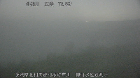 tonos2026021401_image