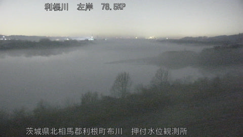 tonos2026021402_image