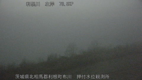 tonos2026021403_image