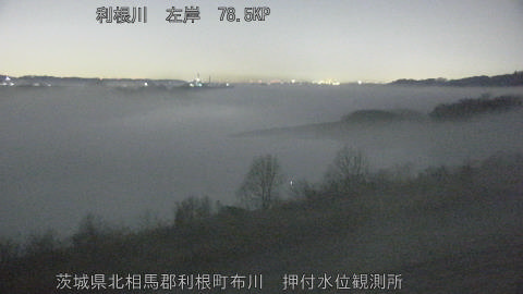 tonos2026021404_image