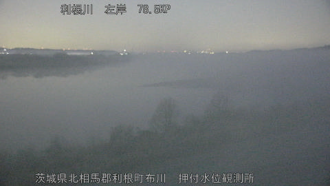 tonos2026021406_image