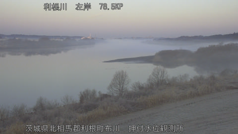 tonos2026021407_image