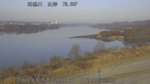 tonos2026021408_image