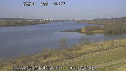 tonos2026021410_image