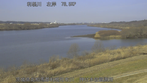 tonos2026021411_image