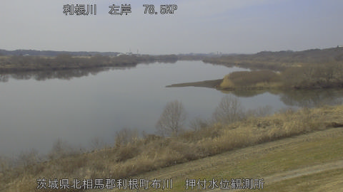 tonos2026021413_image