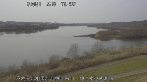 tonos2026021414_image