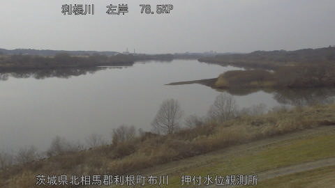 tonos2026021415_image