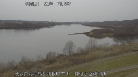 tonos2026021416_image