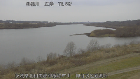 tonos2026021417_image