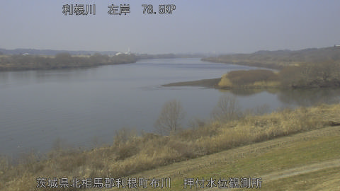 tonos2026021512_image