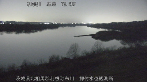 tonos2026021520_image