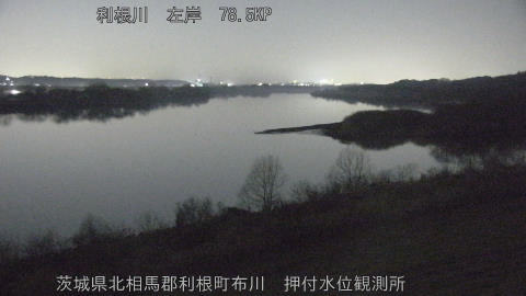 tonos2026021521_image