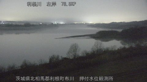 tonos2026021600_image