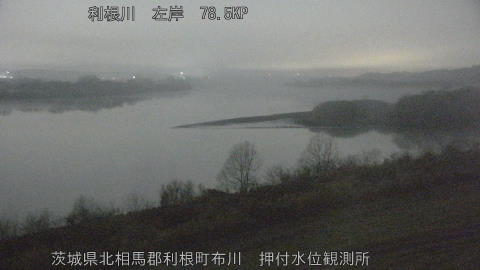 tonos2026021601_image