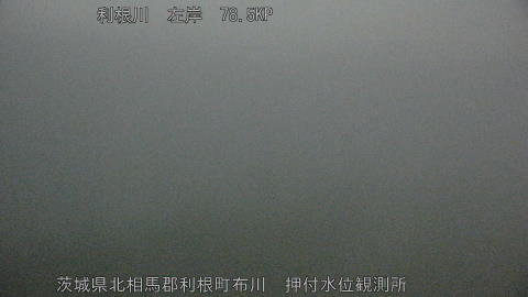 tonos2026021602_image