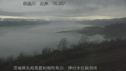 tonos2026021603_image