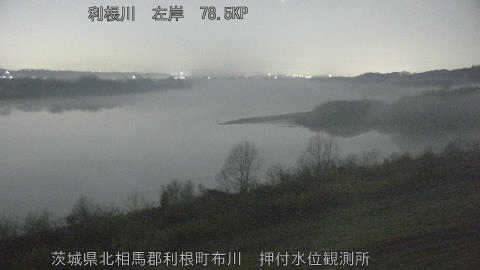 tonos2026021604_image