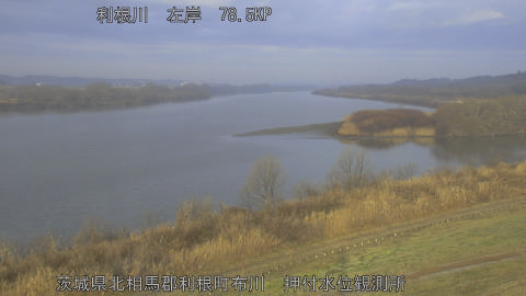 tonos2026021608_image