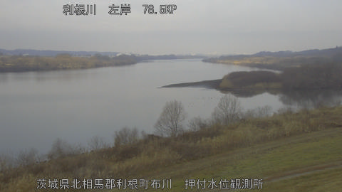 tonos2026021609_image