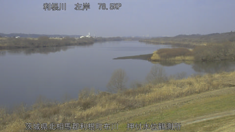 tonos2026021610_image