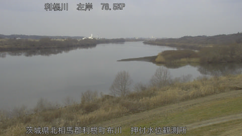 tonos2026021611_image