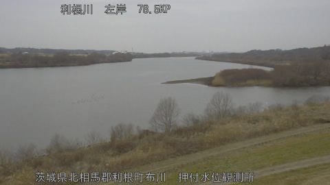 tonos2026021612_image