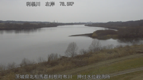 tonos2026021613_image