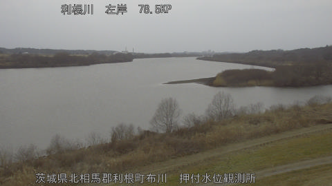 tonos2026021615_image