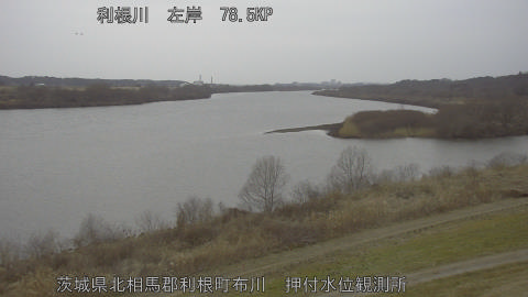 tonos2026021617_image