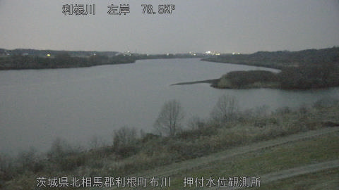 tonos2026021618_image