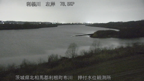 tonos2026021619_image