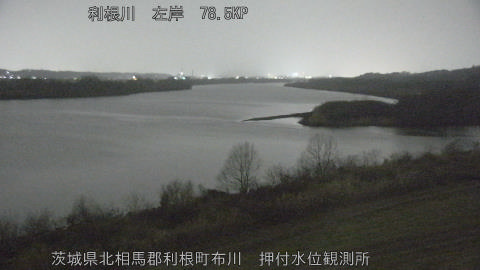 tonos2026021621_image