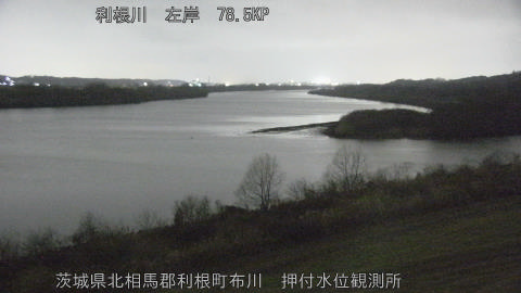 tonos2026021623_image