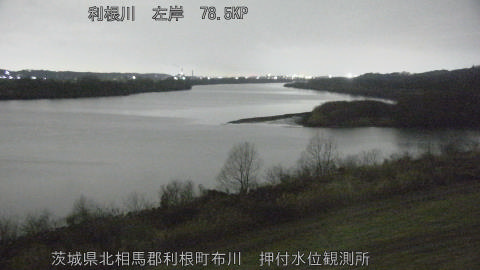 tonos2026021704_image