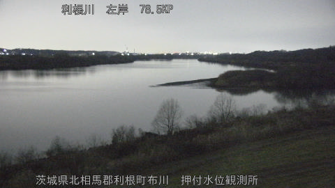 tonos2026021706_image