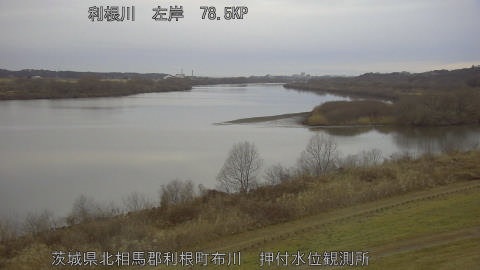 tonos2026021707_image