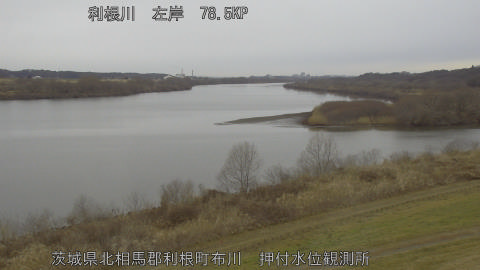 tonos2026021708_image