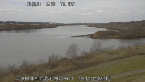 tonos2026021712_image