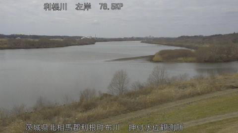 tonos2026021713_image