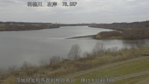 tonos2026021714_image