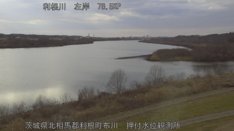 tonos2026021716_image