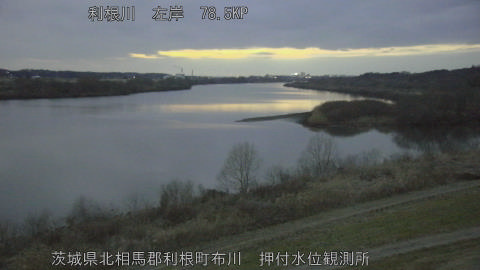 tonos2026021718_image