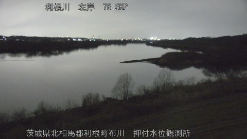 tonos2026021719_image