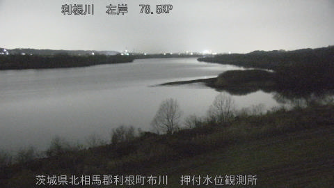 tonos2026021723_image