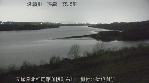 tonos2026021802_image