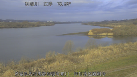 tonos2026021808_image