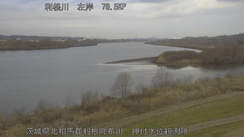 tonos2026021809_image