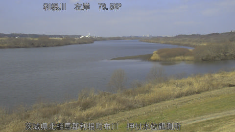 tonos2026021811_image