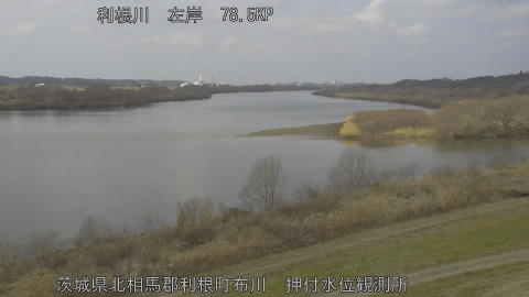 tonos2026021812_image